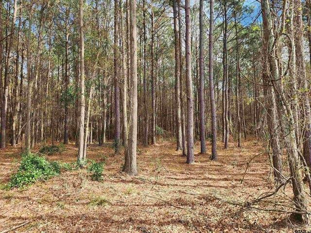Land for sale in Camp, Texas