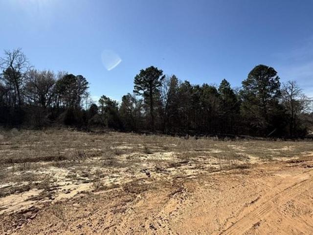 Land for sale in Smith, Texas