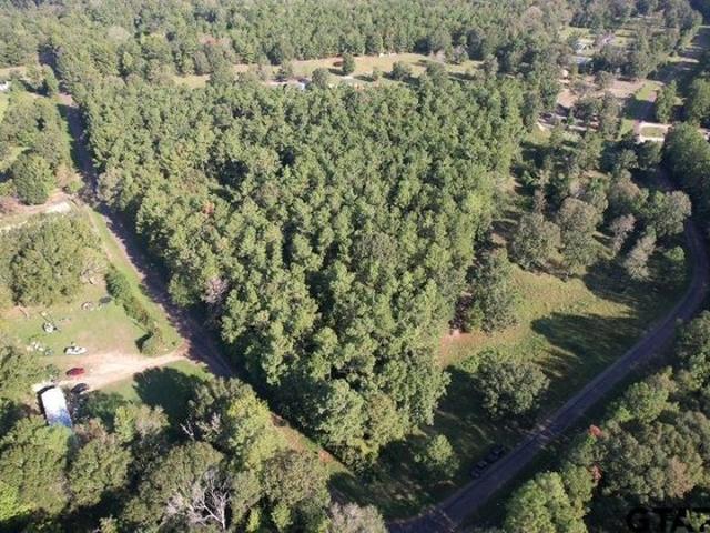 Land for sale in Joaquin, Shelby County