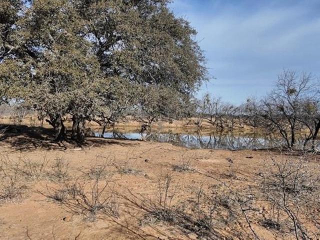 Farm for sale in Rochelle, Texas