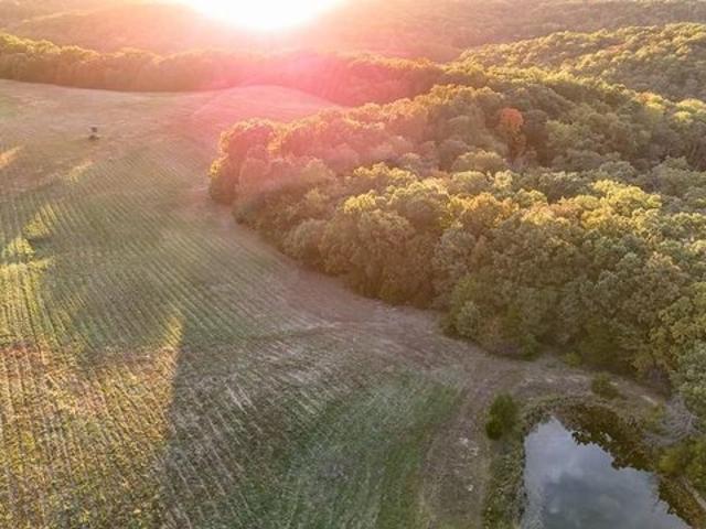 Farm for sale in Fulton, Callaway County