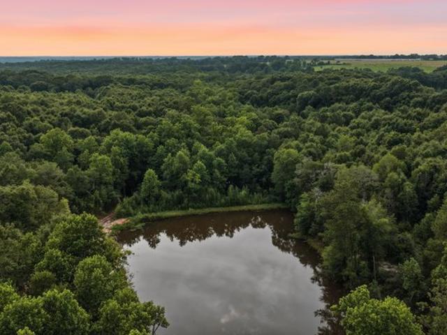 Land for sale in Elba, Alabama