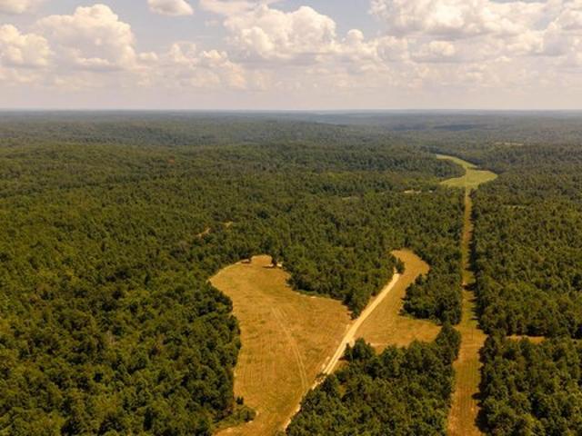 Land for sale in Shannon, Missouri