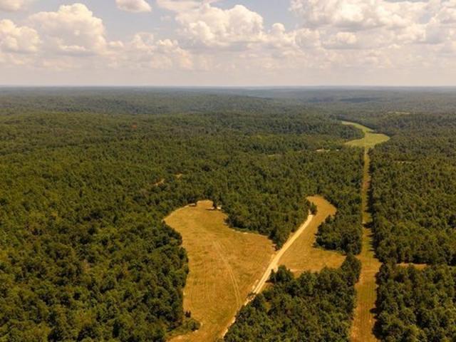 Land for sale in Shannon, Missouri