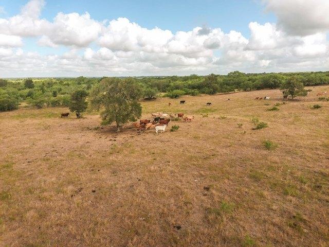 Farm for sale in Waelder, Texas