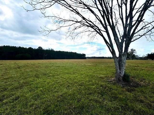 Land for sale in Hillister, Texas