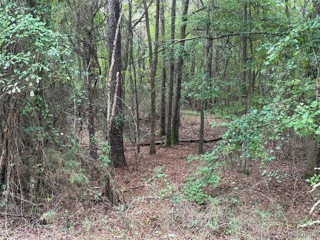 Land for sale in Autaugaville, Autauga County