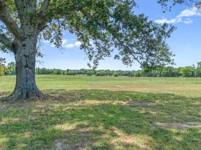 Land for sale in Texas