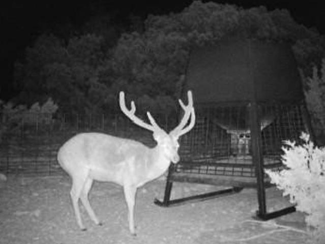 Farm for sale in Edwards, Texas