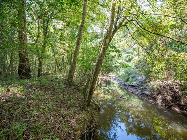 Land for sale in Hillister, Texas