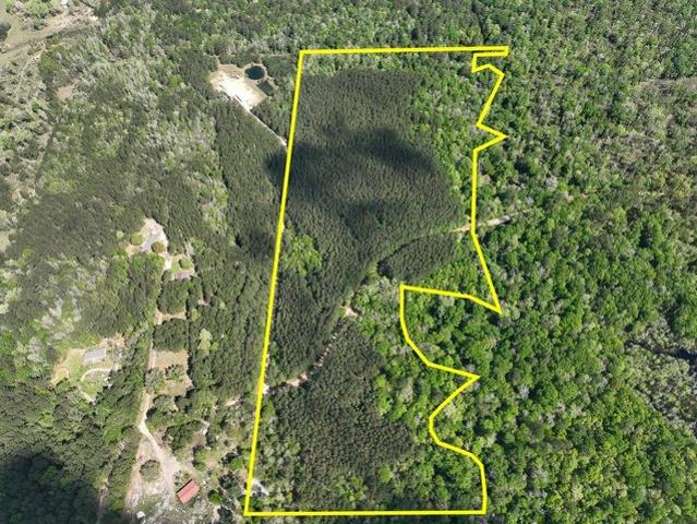 Land for sale in Hillister, Texas