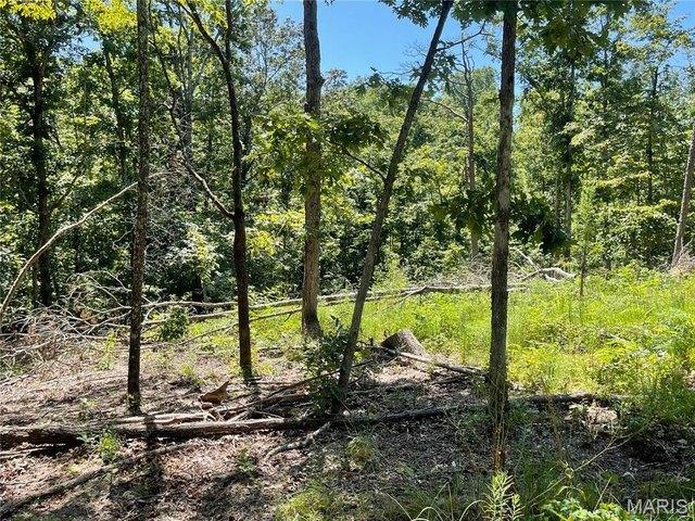 Farm for sale in Piedmont, Missouri