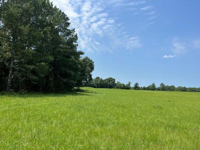Land for sale in Headland, Alabama