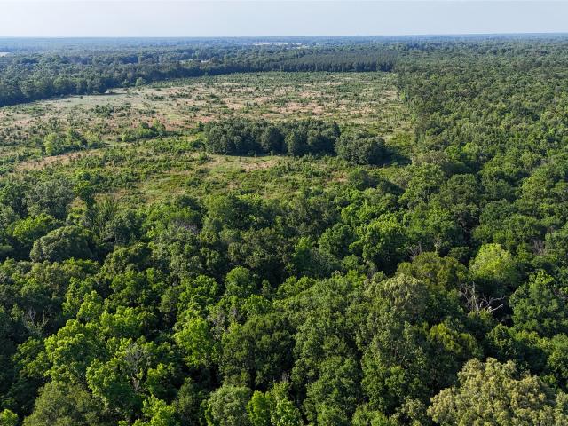 Land for sale in Annona, Texas