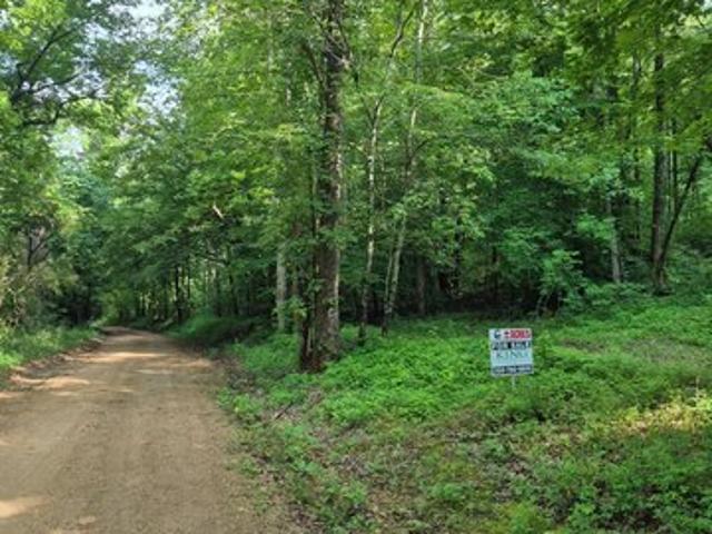 Land for sale in Lexington, Alabama