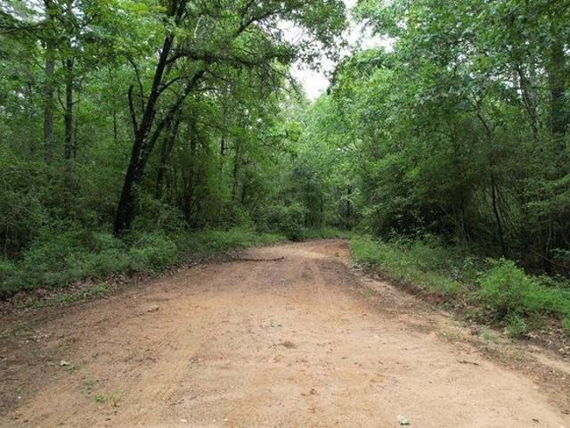 Land for sale in Shelby, Texas