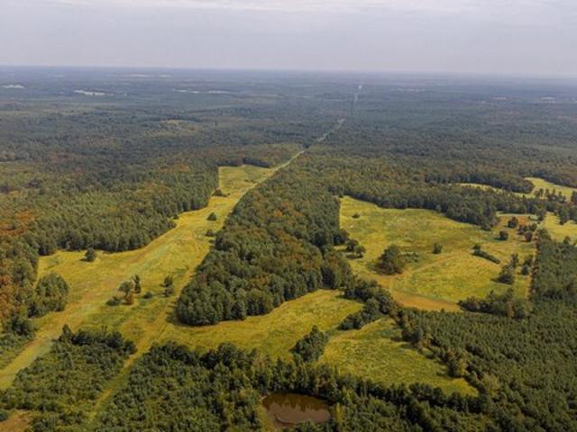 Land for sale in Timpson, Shelby County