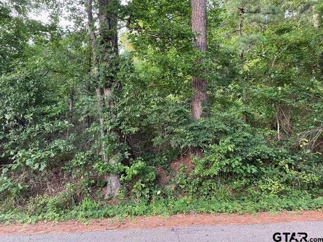 Land for sale in Smith, Texas