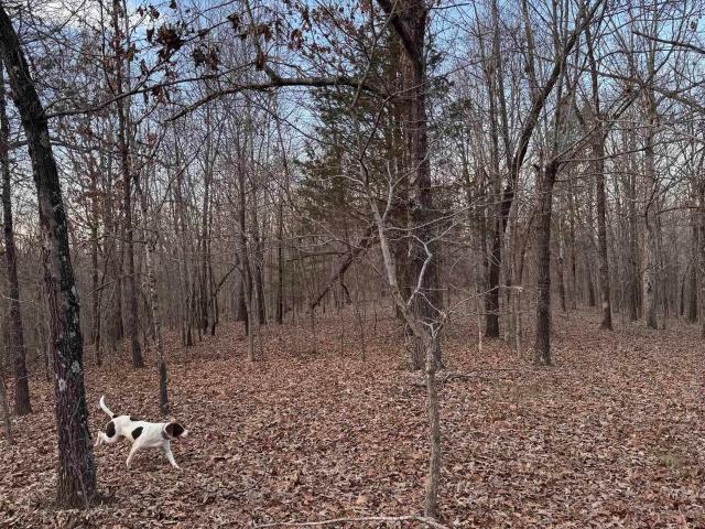 Land for sale in Ark