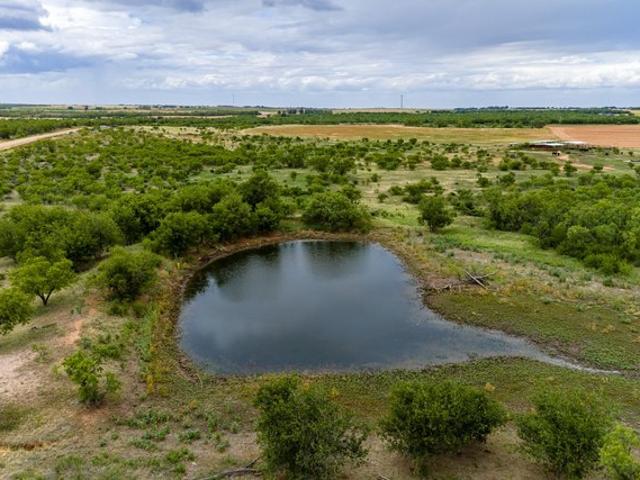 Land for sale in Jones, Texas