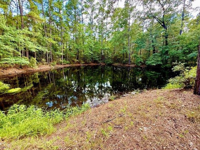 Land for sale in Kennard, Texas