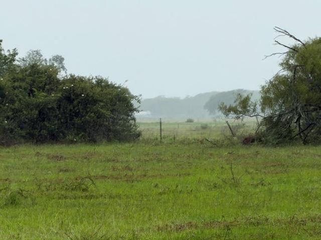 Land for sale in Blessing, Texas