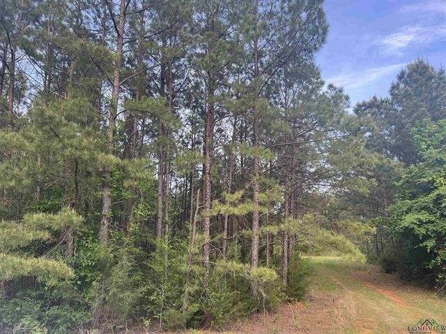 Land for sale in Henderson, Texas
