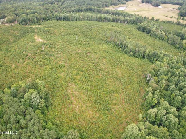 Land for sale in Mississippi