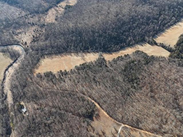 Land for sale in Hickory, Missouri