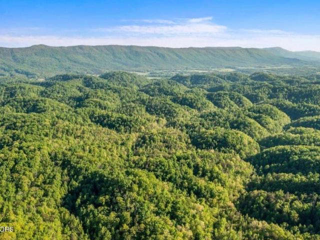 Land for sale in Tennessee