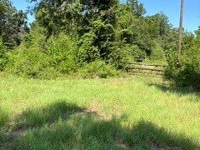 Land for sale in Leon, Texas