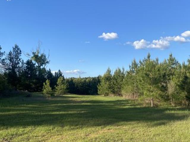 Land for sale in Crosby, Mississippi