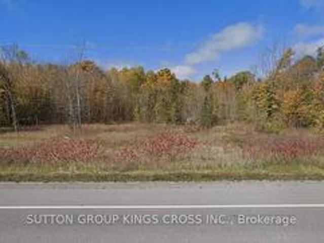 Land for sale in Kawartha Lakes, Ontario