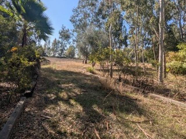 Land for sale in Willows, California