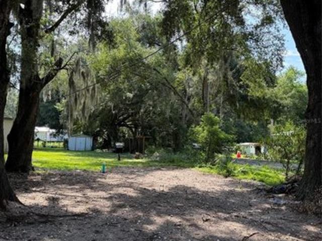 Land for sale in Lake Panasoffkee, Florida