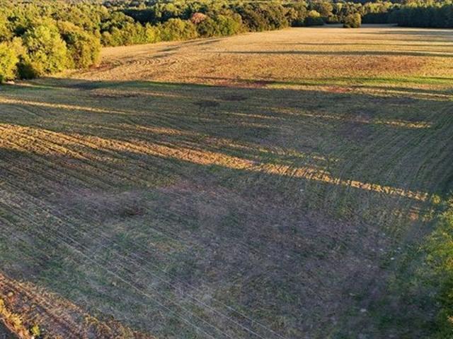 Land for sale in Quitman, Wood County