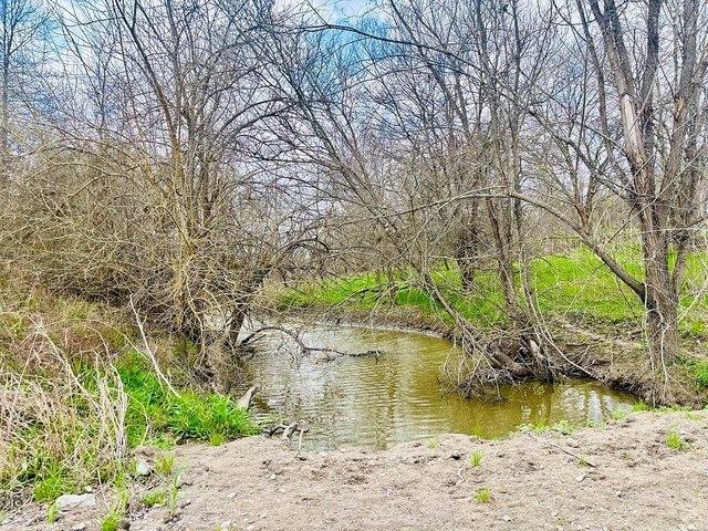 Land for sale in Chilton, Texas
