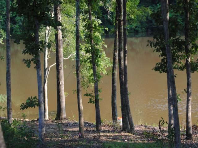 Land for sale in Woodland, Alabama
