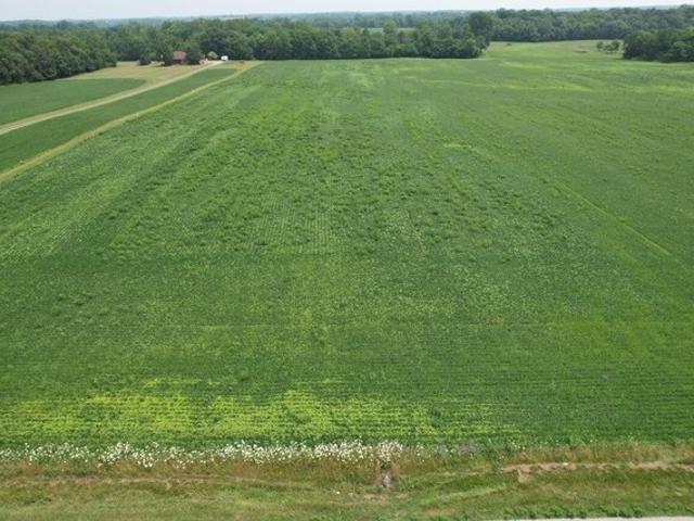Land for sale in Belle Center, Logan County