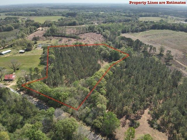 Land for sale in Geneva, Alabama