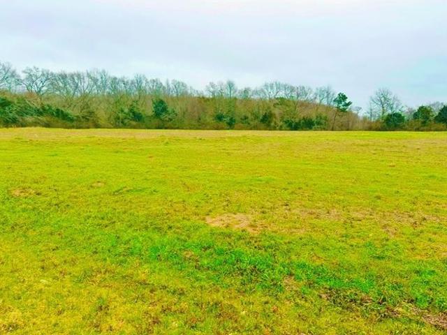 Land for sale in Geneva, Alabama
