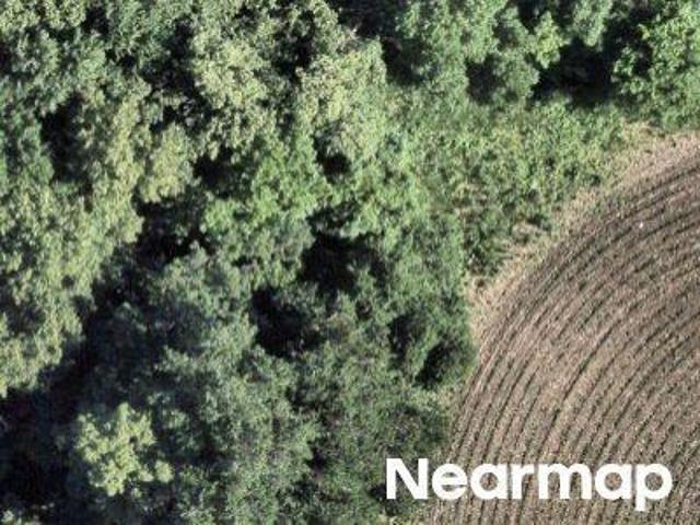 Farm for sale in Irving Township, Kandiyohi County