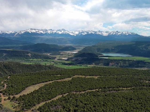 Farm for sale in Ridgway, Colorado