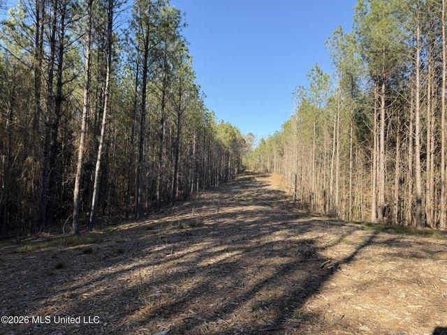 Land for sale in Kosciusko, Mississippi