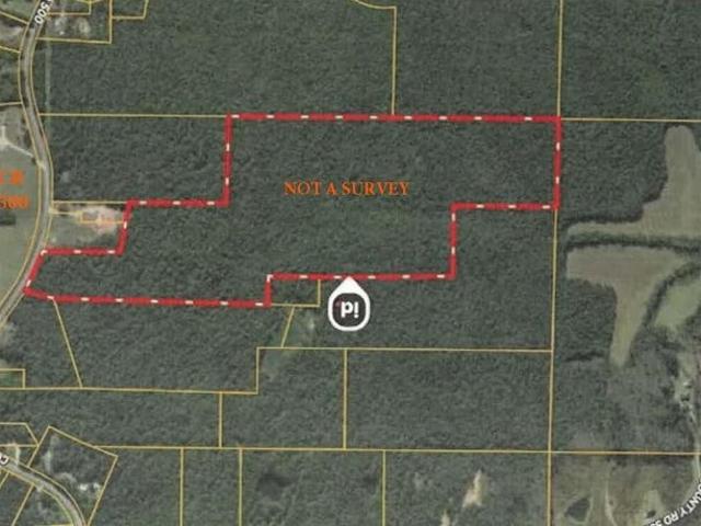 Land for sale in Rienzi, Mississippi