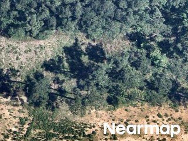 Land for sale in Plum Grove, Liberty County