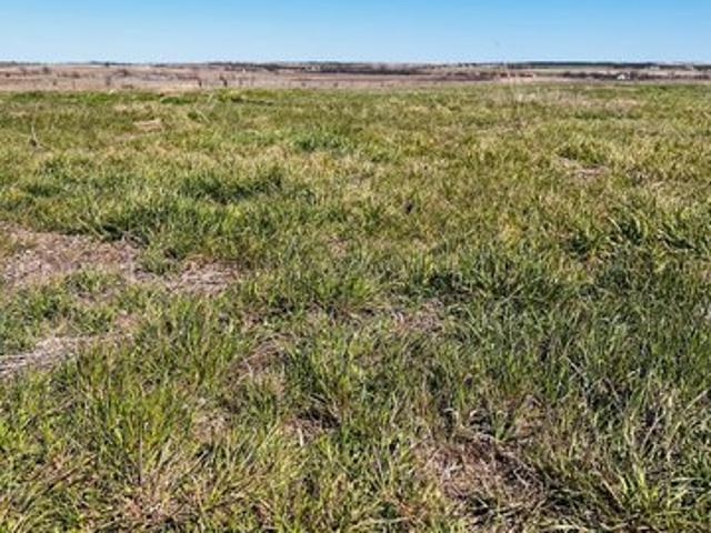 Farm for sale in Hamilton, Texas