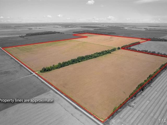 Farm for sale in East Prairie, Mississippi County