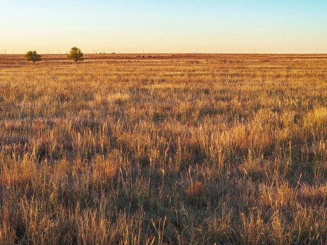 Farm for sale in Hereford, Texas