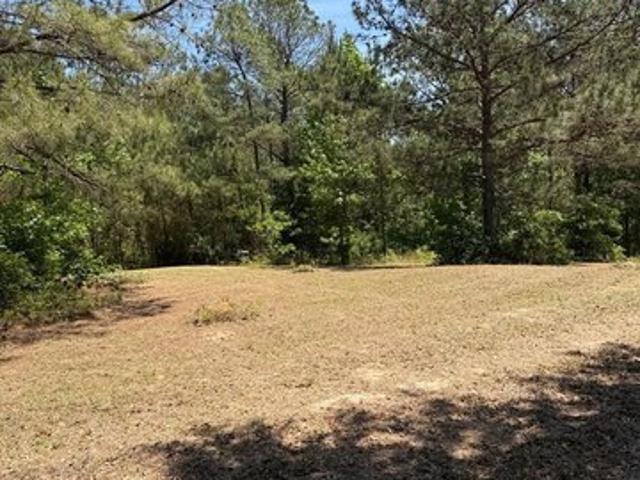 Land for sale in Shorterville, Alabama